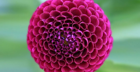 Foto: (Imagem sem texto alternativo disponivel ID [1084741])