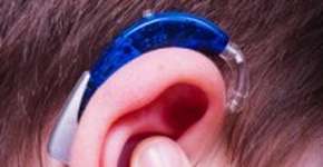 Foto: (Imagem sem texto alternativo disponivel ID [1861821])