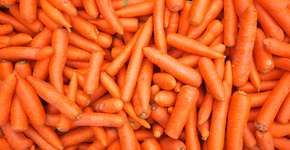 Foto: (Getty Images/iStockphoto)