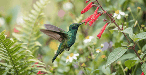 Foto: (Imagem sem texto alternativo disponivel ID [2751201])