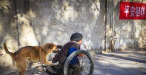 Foto: (Imagem sem texto alternativo disponivel ID [788873])