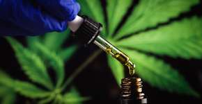 Foto: (24K-Production/istock)