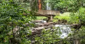 Foto: (Istock/Alfribeiro)