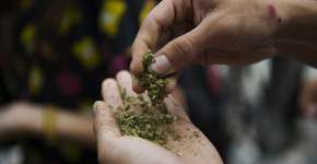 Foto: (Jorge Alberto Mendoza Mariscal/istock)