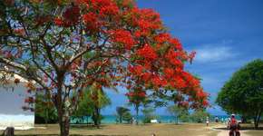 Uma maravilhosa beleza de Trancoso que ninguém conhece