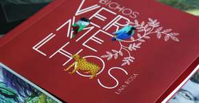 Foto: (Imagem sem texto alternativo disponivel ID [1613052])