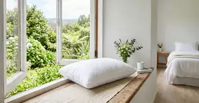 Por que na Suiça o travesseiro nunca é colocado direto no sol