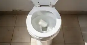 Foto: (Imagem sem texto alternativo disponivel ID [2725682])