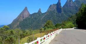 Foto: (Imagem sem texto alternativo disponivel ID [1488362])