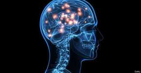 Foto: (Imagem sem texto alternativo disponivel ID [1832751])