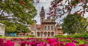 Foto: (Foto: Divulgação.)