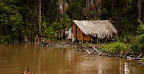 Desmatamento em terras indígenas aumenta 59% na pandemia