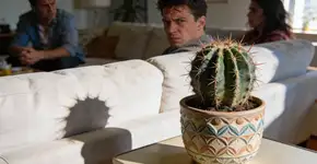 Foto: (Imagem sem texto alternativo disponivel ID [2679941])