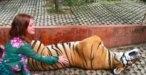 Foto: (Imagem sem texto alternativo disponivel ID [1108364])