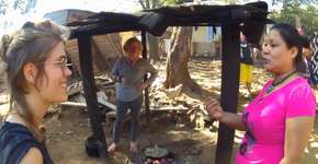 Vaquinhas ajudam aldeias indígenas no Pico do Jaraguá, em SP