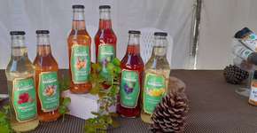 Feira Vegana do ABC acontece neste domingo no Instituto Acqua