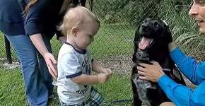 Foto: (Imagem sem texto alternativo disponivel ID [860011])