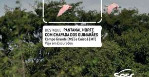 Foto: (Imagem sem texto alternativo disponivel ID [1845199])