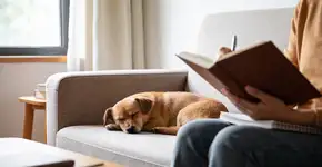 Foto: (Imagem sem texto alternativo disponivel ID [2681448])