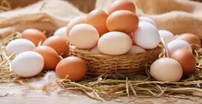 Foto: (Imagem sem texto alternativo disponivel ID [2736702])