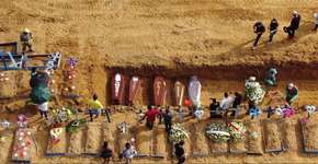 Foto: (Fernando Crispim/Amazonia Real/Fotos Públicas)