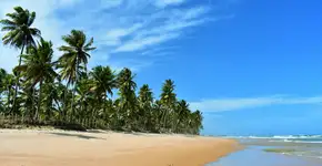 Mais de 2.500 cidades brasileiras receberam turistas via Airbnb