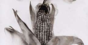 Foto: (Imagem sem texto alternativo disponivel ID [1866589])