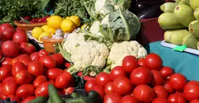 Foto: (offscreen/depositphotos)