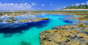 Piscinas naturais: Descubra os ‘Caribes brasileiros’