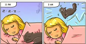 10 quadrinhos que mostram como é morar com um gato