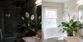 Foto: (Imagem sem texto alternativo disponivel ID [2679947])