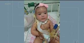 Foto: (Imagem sem texto alternativo disponivel ID [1894370])