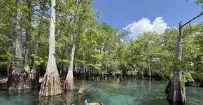 10 atividades imperdíveis para fazer em Pensacola