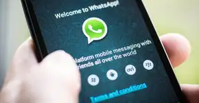 Foto: (Imagem sem texto alternativo disponivel ID [1030297])