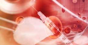 Superfruta que retarda envelhecimento e controla açúcar no sangue