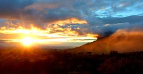 Foto: (Imagem sem texto alternativo disponivel ID [1394262])