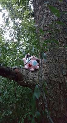 Nichole espalha monstrinhos de crochê pelas pokéstops da sua cidade