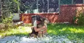 Cão com câncer vê a neve pela última vez