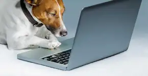 Dell faz saldão de computadores e acessórios até segunda, 16