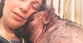 Foto: (Imagem sem texto alternativo disponivel ID [1867977])