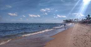 Foto: (Agata Fetschenko/istock)