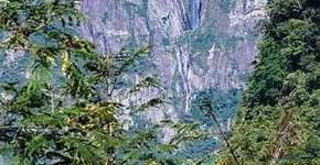 Foto: (Imagem sem texto alternativo disponivel ID [1869555])