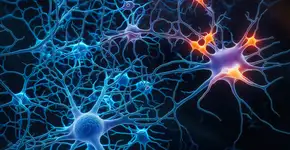 Alzheimer: Saiba reconhecer os sinais da doença em um parente