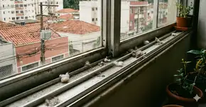 Foto: (Imagem gerada por IA/Gemini)