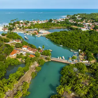 Featured mobile: Roteiro em Parnamirim (RN) une o maior cajueiro do mundo e ciência