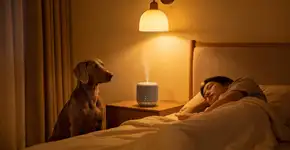 Foto: (Imagem sem texto alternativo disponivel ID [2713162])