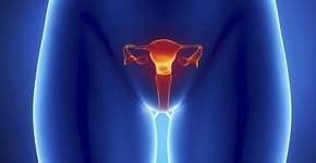 Foto: (Imagem sem texto alternativo disponivel ID [1834646])