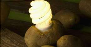 Foto: (Imagem sem texto alternativo disponivel ID [1829606])