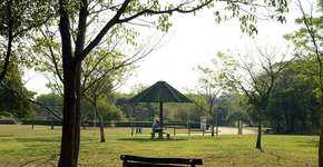 Governo de São Paulo analisa autorizar reabertura de parques