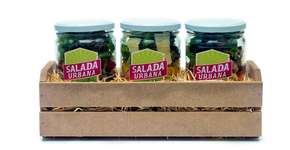 Opção saudável e nutritiva: empresa entrega massas e saladas orgânicas em potes de vidro